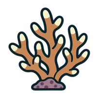 Illustration of a Acropora