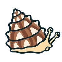 Illustration of a Astrea Snail