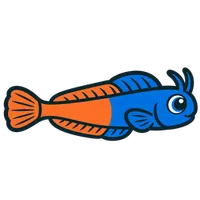 Illustration of a Bicolor Blenny