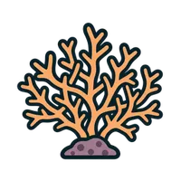 Illustration of a Birdsnest Coral
