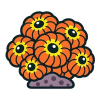 Illustration of a Blastomussa