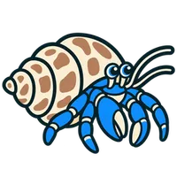 Illustration of a Blue-Leg Hermit Crab