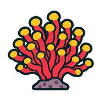 Illustration of a Bubble Tip Anemone