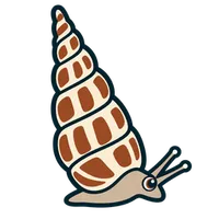 Illustration of a Cerith Snail