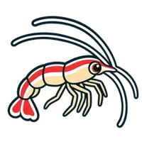 Illustration of a Skunk Cleaner Shrimp