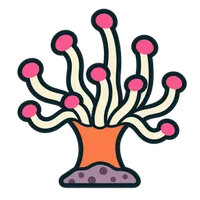 Illustration of a Condy Anemone