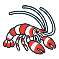 Illustration of a Coral Banded Shrimp