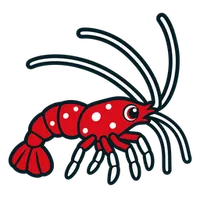 Illustration of a Fire Shrimp