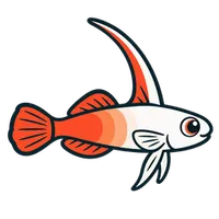 Illustration of a Firefish Goby