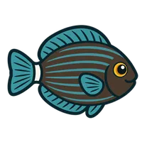 Illustration of a Kole Tang