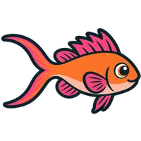 Illustration of a Lyretail Anthias