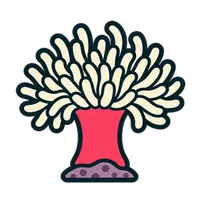 Illustration of a Magnificent Anemone