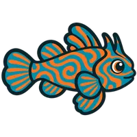 Illustration of a Mandarin Dragonet