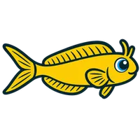 Illustration of a Midas Blenny