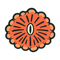 Illustration of a Mushroom Coral