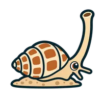 Illustration of a Nassarius Snail
