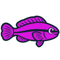Illustration of a Orchid Dottyback