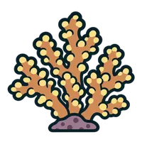 Illustration of a Pocillopora