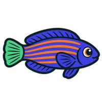 Illustration of a Six Line Wrasse