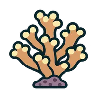 Illustration of a Stylophora