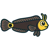 Illustration of a Tailspot Blenny