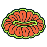 Illustration of a Open Brain Coral