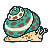 Illustration of a Turbo Snail