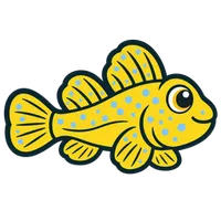 Illustration of a Yellow Watchman Goby