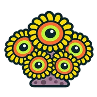 Illustration of a Zoanthids